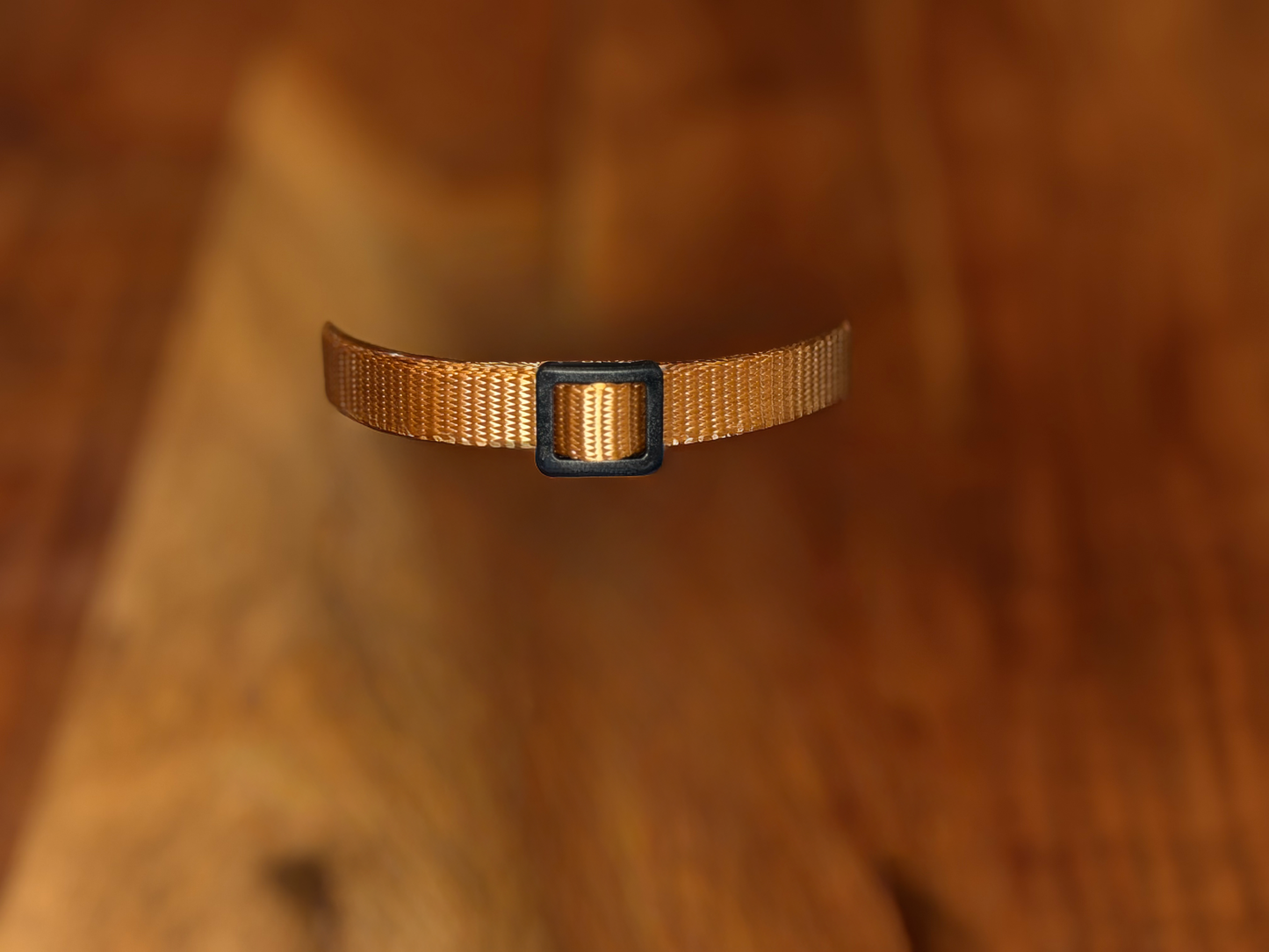 PetTek Collar