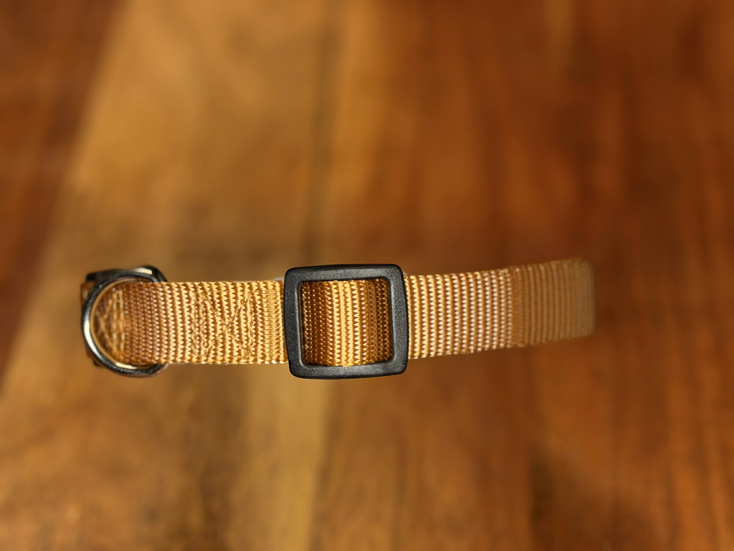 PetTek Collar