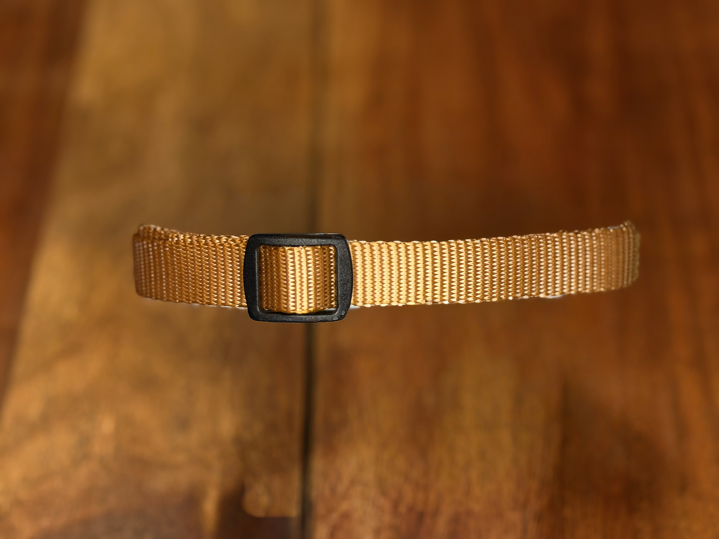 PetTek Collar