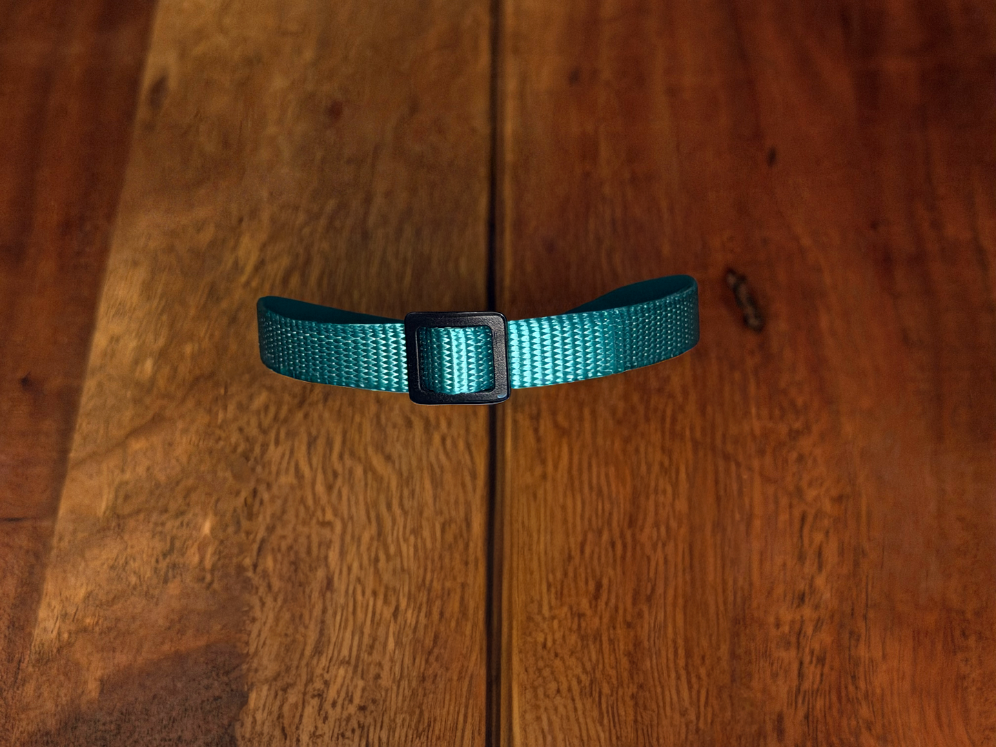 PetTek Collar