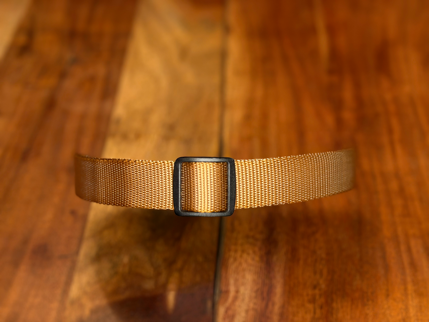 PetTek Collar
