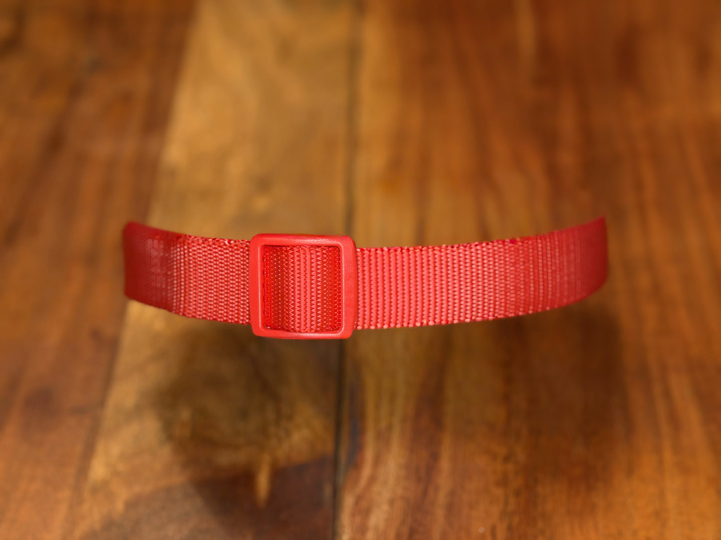 PetTek Collar