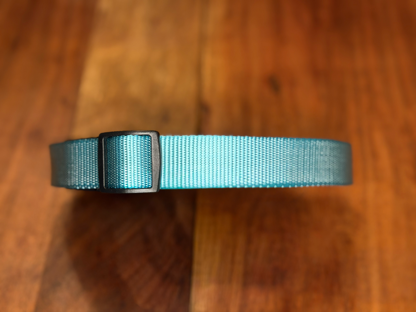 PetTek Collar